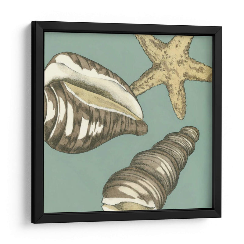 Small Shell Trío En Azul I - Megan Meagher | Cuadro decorativo de Canvas Lab
