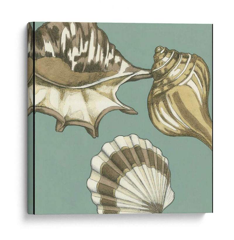 Small Shell Trío En Azul Iii - Megan Meagher | Cuadro decorativo de Canvas Lab