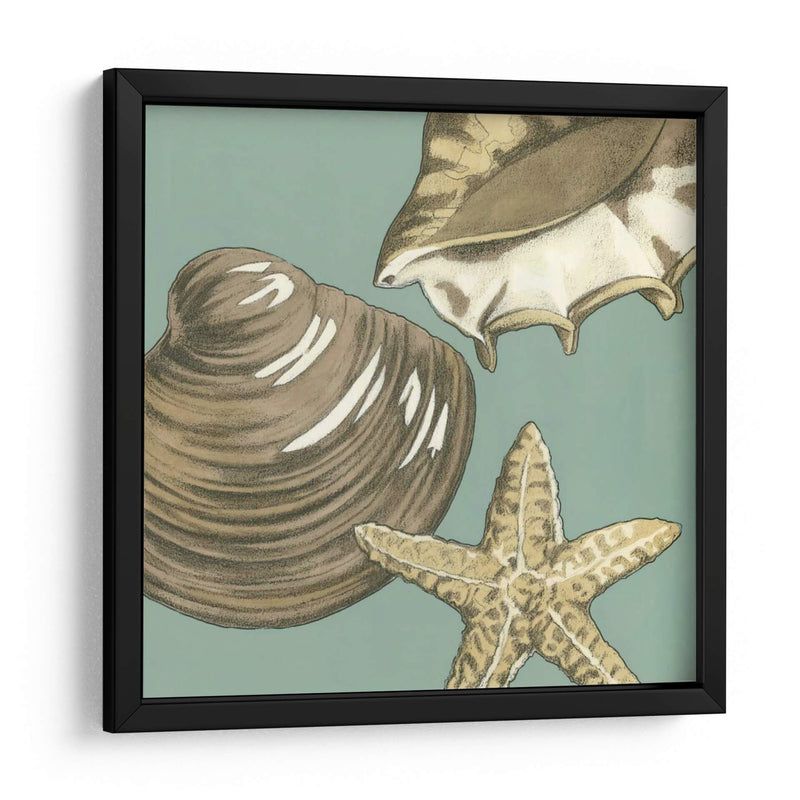 Trio Shell Pequeño En Blue Iv - Megan Meagher | Cuadro decorativo de Canvas Lab