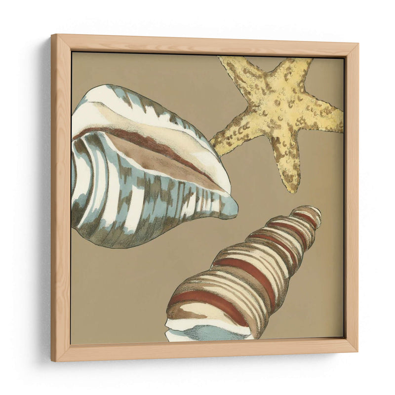 Small Shell Trío En Caqui I - Megan Meagher | Cuadro decorativo de Canvas Lab