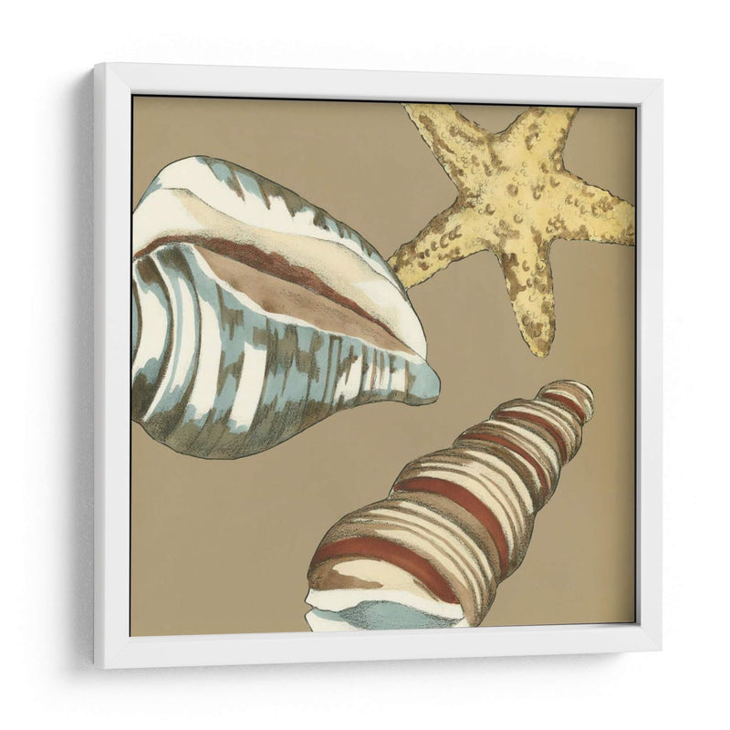 Small Shell Trío En Caqui I - Megan Meagher | Cuadro decorativo de Canvas Lab