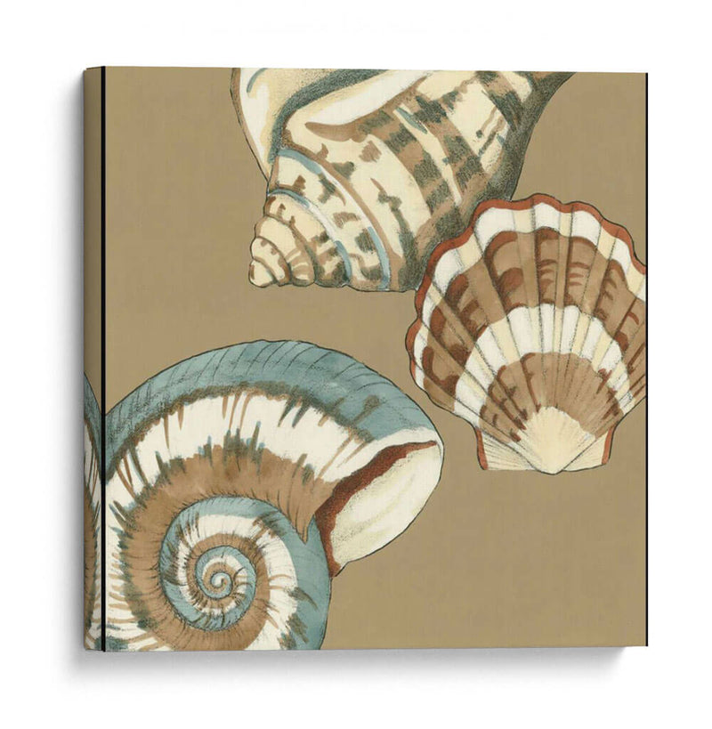 Small Shell Trío En Caqui Ii - Megan Meagher | Cuadro decorativo de Canvas Lab