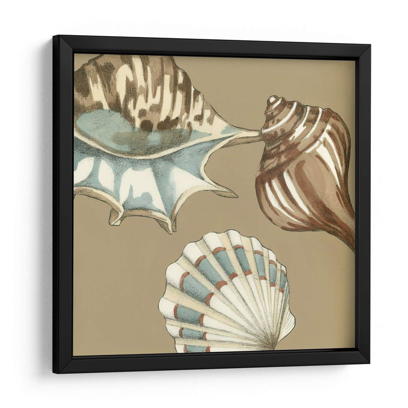 Small Shell Trío En Caqui Iii - Megan Meagher | Cuadro decorativo de Canvas Lab