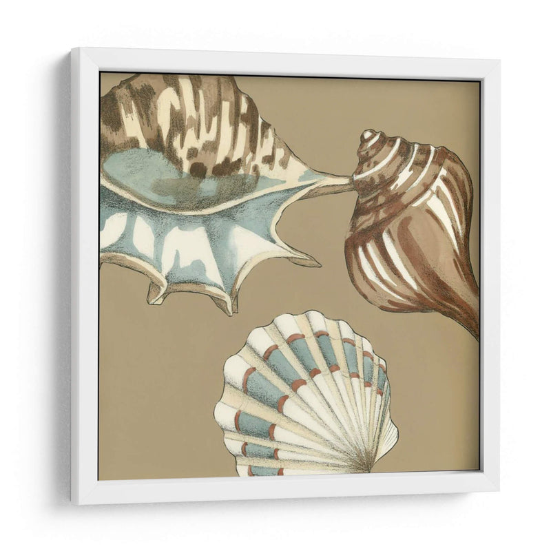 Small Shell Trío En Caqui Iii - Megan Meagher | Cuadro decorativo de Canvas Lab