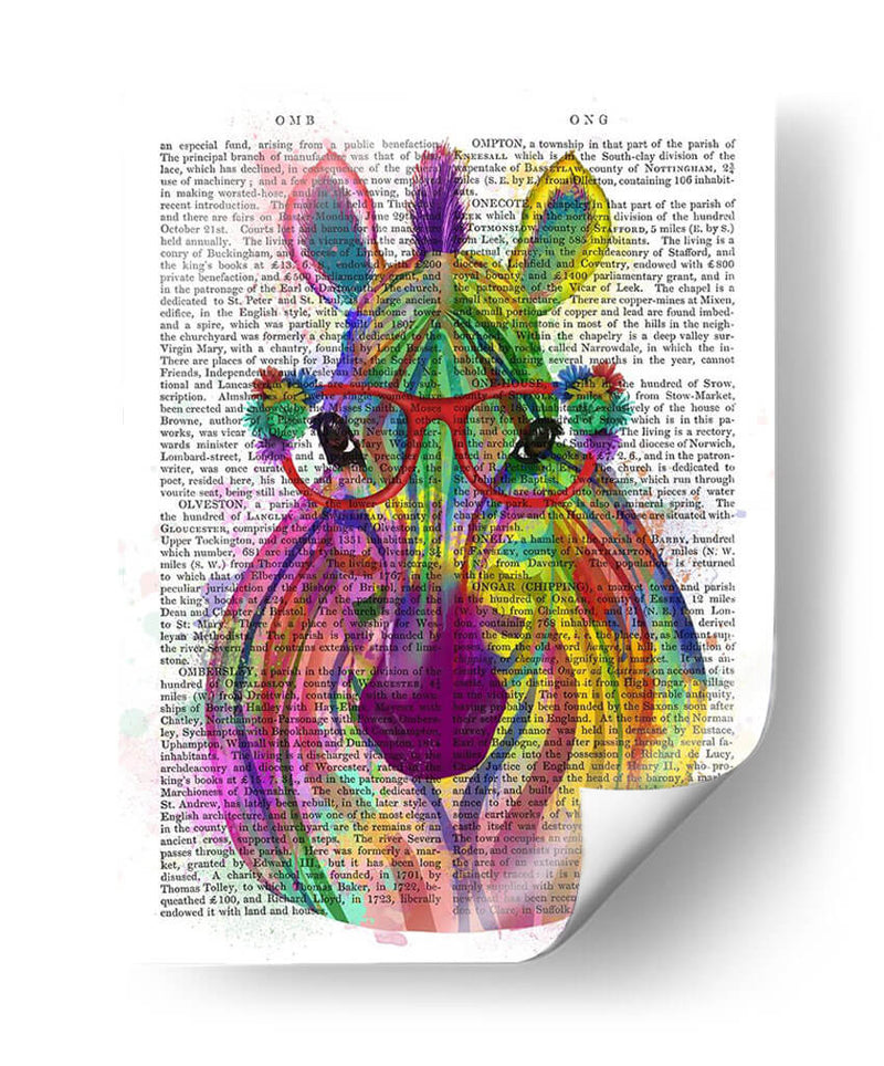 Splash De Cebra Arco Iris 1 - Fab Funky | Cuadro decorativo de Canvas Lab