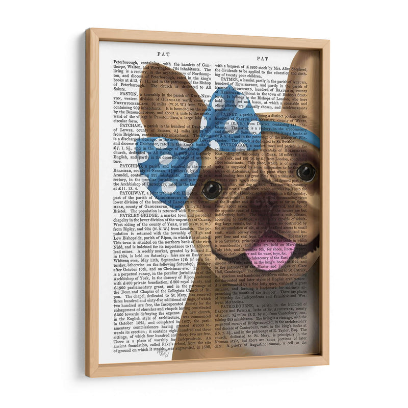 Bulldog Francés Y Arco Azul - Fab Funky | Cuadro decorativo de Canvas Lab