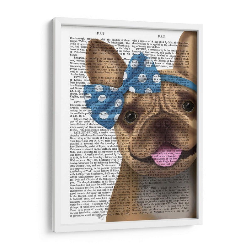 Bulldog Francés Y Arco Azul - Fab Funky | Cuadro decorativo de Canvas Lab