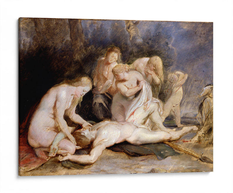 La muerte de Adonis - Peter Paul Rubens | Cuadro decorativo de Canvas Lab