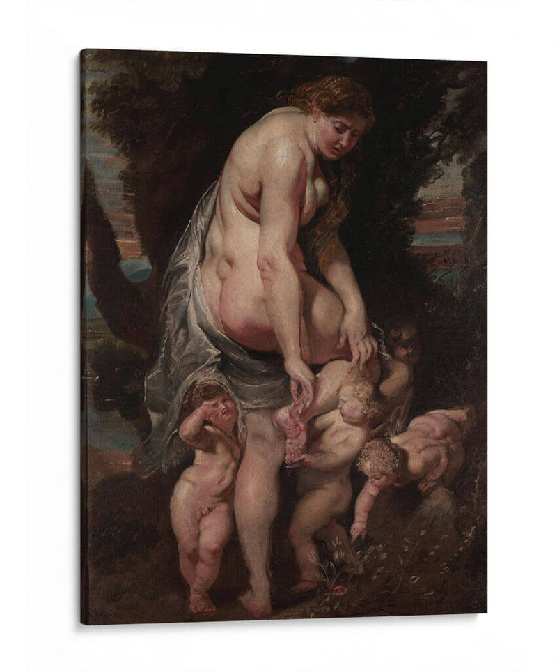 Venus herida por una espina - Peter Paul Rubens | Cuadro decorativo de Canvas Lab