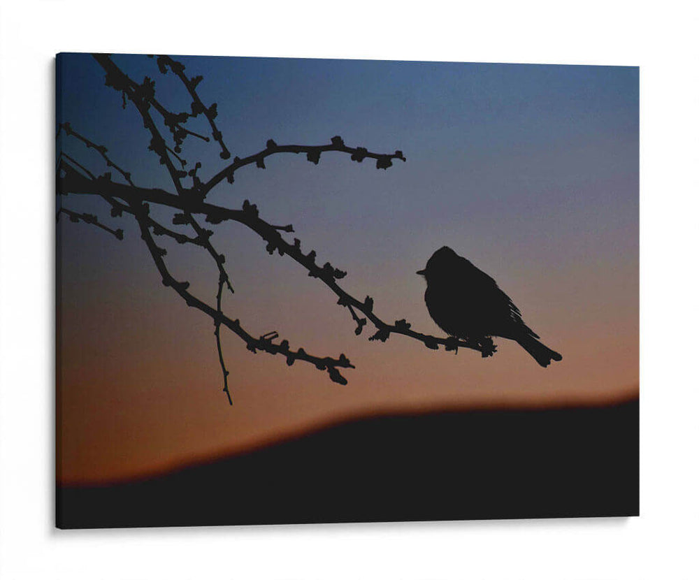 Pajarito 2 - Álvaro Martínez | Cuadro decorativo de Canvas Lab