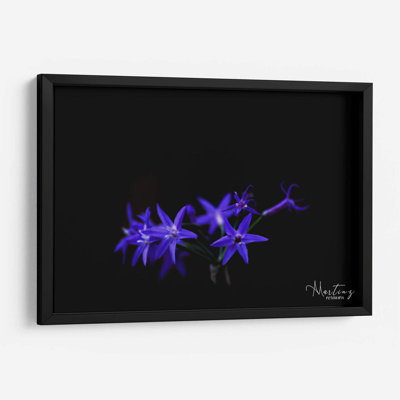 Florecita azul - Alvaro Martinz | Cuadro decorativo de Canvas Lab