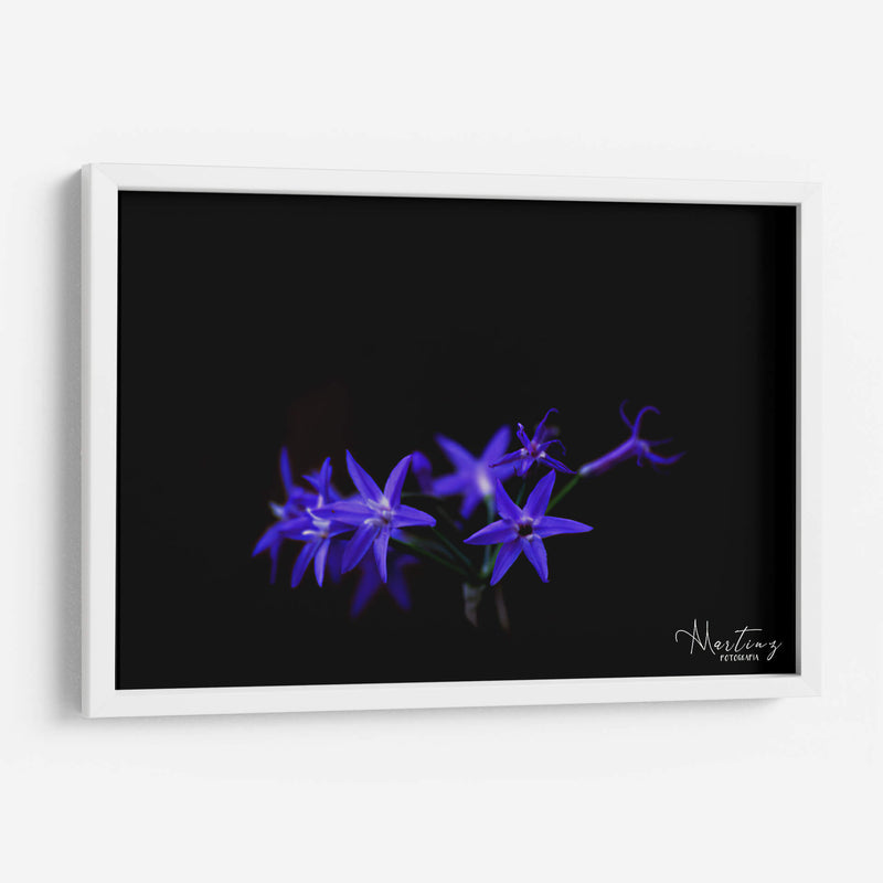 Florecita azul - Álvaro Martínez | Cuadro decorativo de Canvas Lab