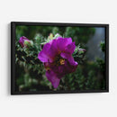 Cactus 1 - Álvaro Martínez | Cuadro decorativo de Canvas Lab