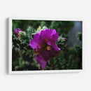 Cactus 1 - Álvaro Martínez | Cuadro decorativo de Canvas Lab