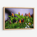 Chiles - Álvaro Martínez | Cuadro decorativo de Canvas Lab