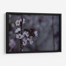 Ciruelos en flor - Álvaro Martínez | Cuadro decorativo de Canvas Lab