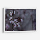 Ciruelos en flor - Álvaro Martínez | Cuadro decorativo de Canvas Lab