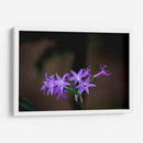 Flor violeta - Álvaro Martínez | Cuadro decorativo de Canvas Lab