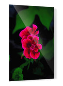 Verde y Rosa - Álvaro Martínez | Cuadro decorativo de Canvas Lab