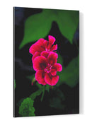 Verde y Rosa - Álvaro Martínez | Cuadro decorativo de Canvas Lab