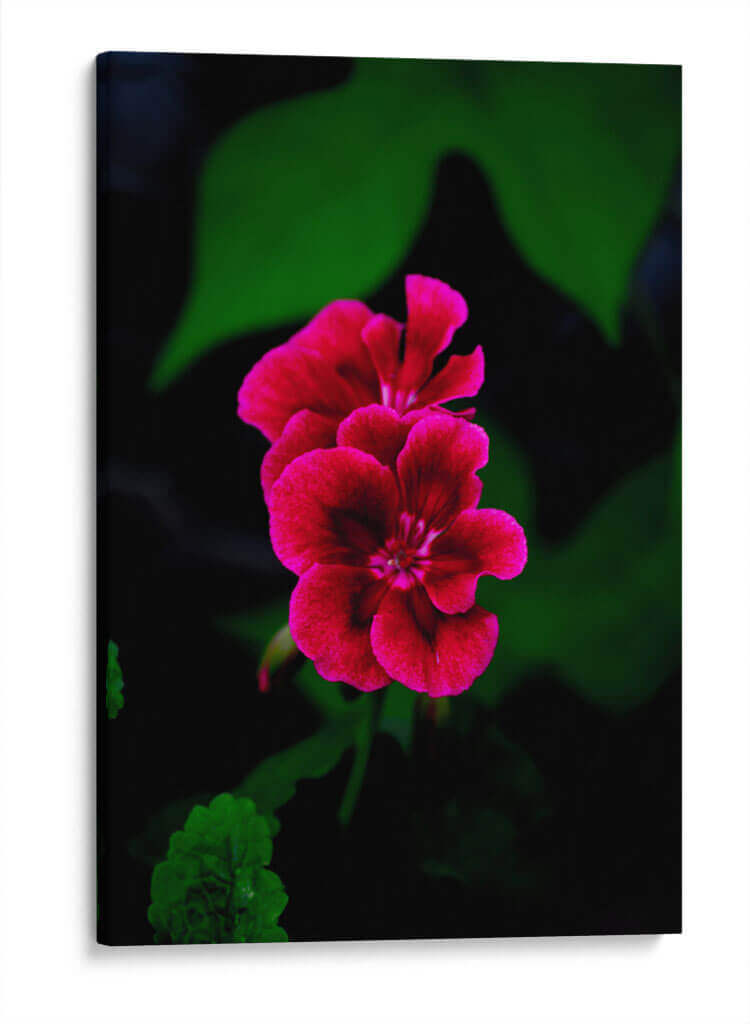 Verde y Rosa - Álvaro Martínez | Cuadro decorativo de Canvas Lab