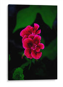 Verde y Rosa - Álvaro Martínez | Cuadro decorativo de Canvas Lab