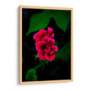 Verde y Rosa - Álvaro Martínez | Cuadro decorativo de Canvas Lab