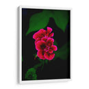 Verde y Rosa - Álvaro Martínez | Cuadro decorativo de Canvas Lab