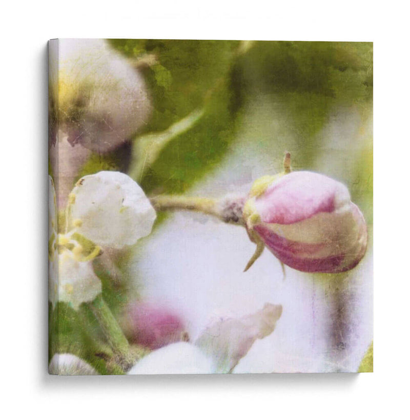 Apple Blossom I - Open Journey | Cuadro decorativo de Canvas Lab