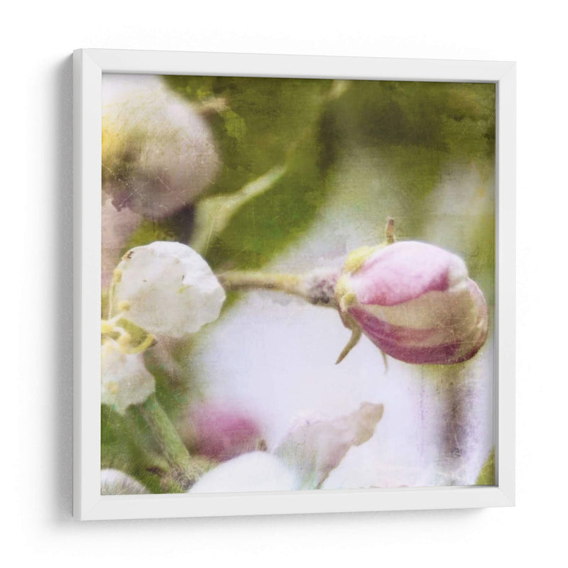 Apple Blossom I - Open Journey | Cuadro decorativo de Canvas Lab