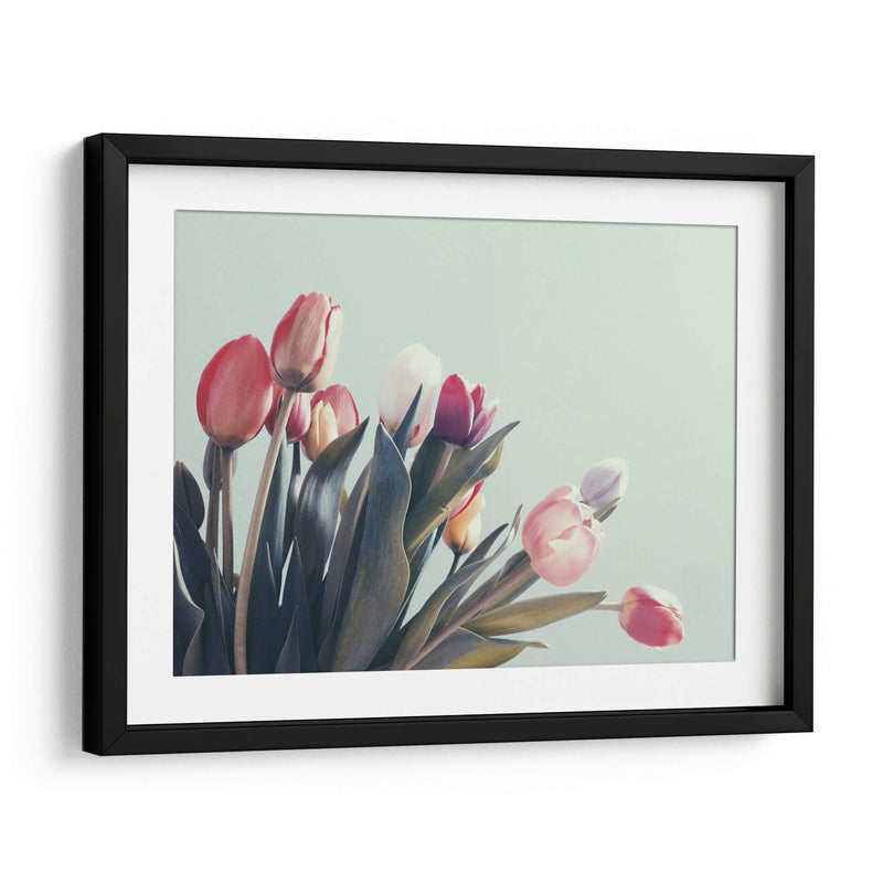 Suaves tulipanes | Cuadro decorativo de Canvas Lab