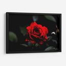 Rosa - Álvaro Martínez | Cuadro decorativo de Canvas Lab