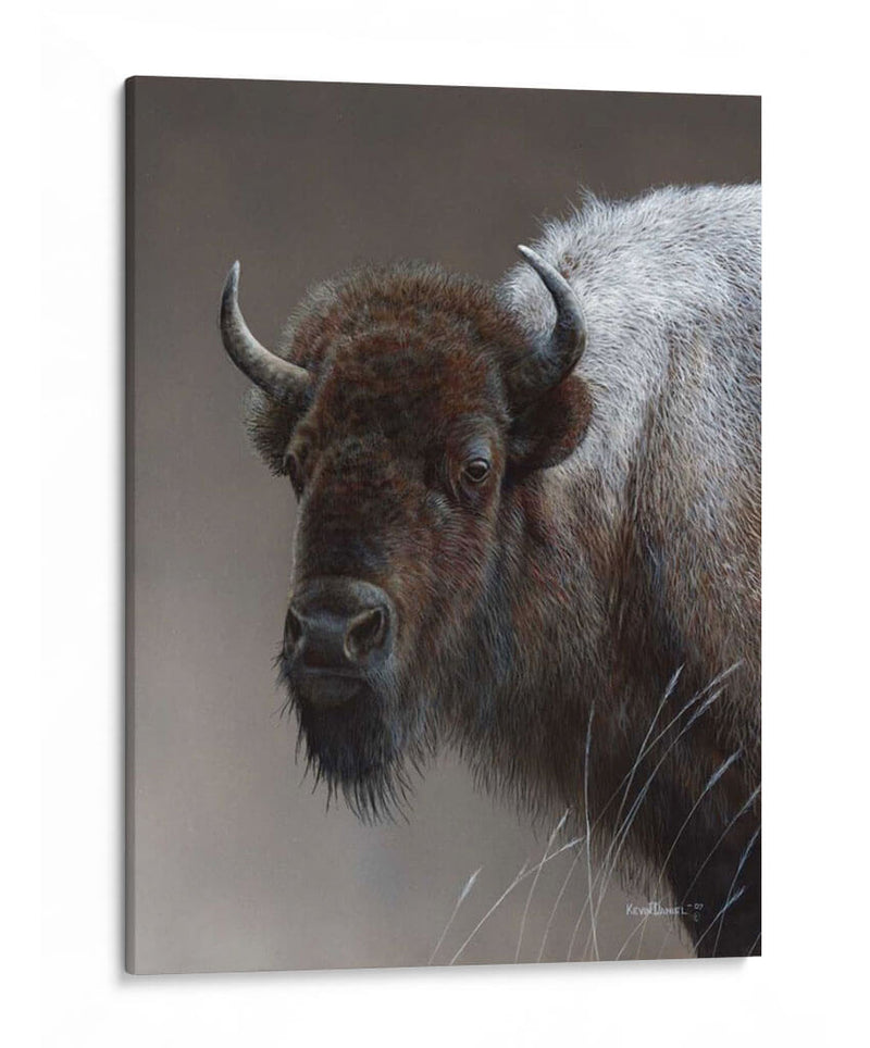 Icono Americano- Buffalo - Kevin Daniel | Cuadro decorativo de Canvas Lab