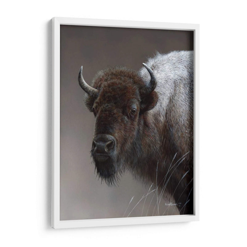 Icono Americano- Buffalo - Kevin Daniel | Cuadro decorativo de Canvas Lab