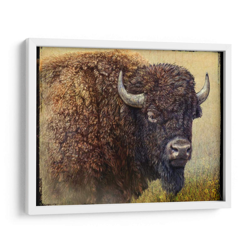 Retrato Bisonte I - Chris Vest | Cuadro decorativo de Canvas Lab