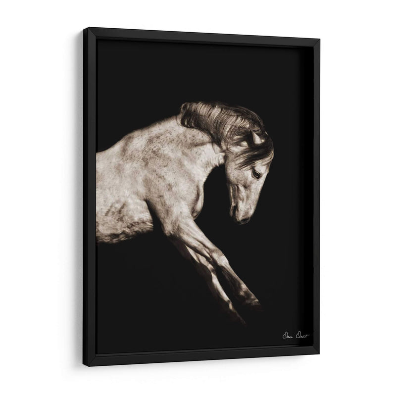 Retrato De Caballo Iv - David Drost | Cuadro decorativo de Canvas Lab