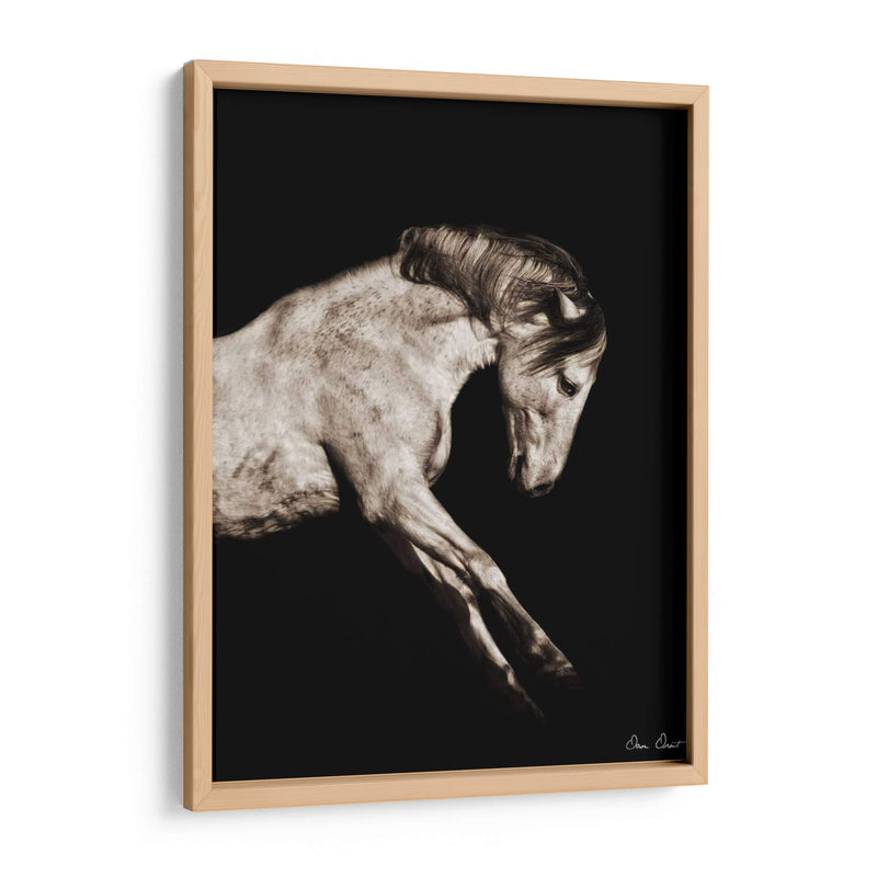 Retrato De Caballo Iv - David Drost | Cuadro decorativo de Canvas Lab