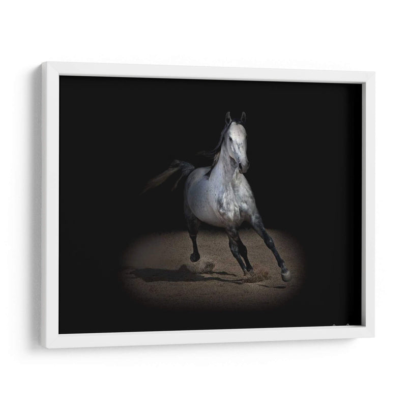 Caballo Retrato Ix - David Drost | Cuadro decorativo de Canvas Lab