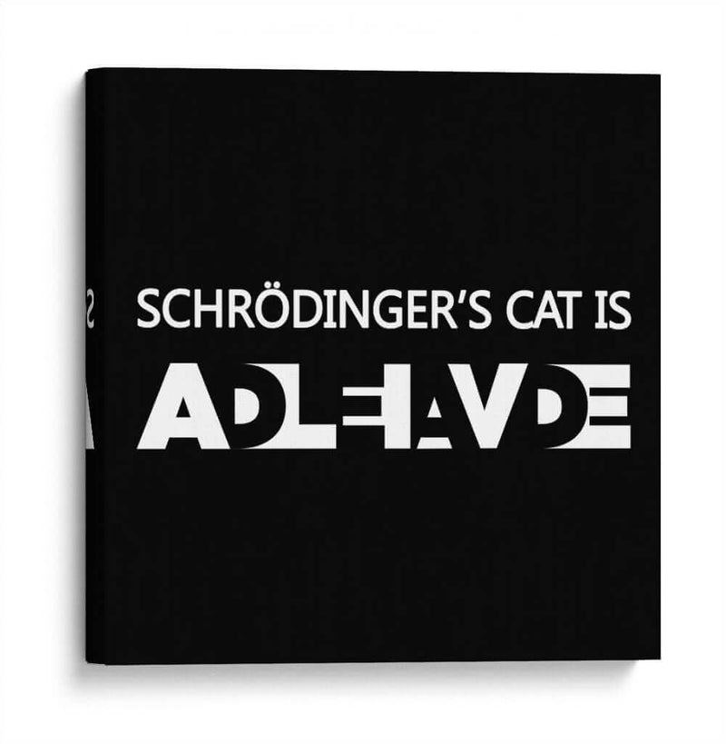 El gato de Schrödinger - Roge I. Luis | Cuadro decorativo de Canvas Lab