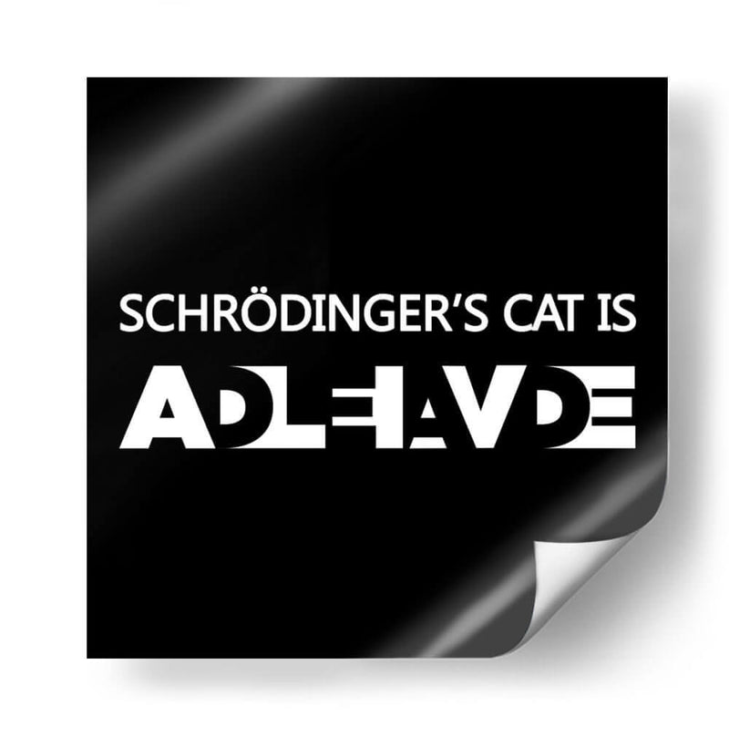 El gato de Schrödinger - Roge I. Luis | Cuadro decorativo de Canvas Lab