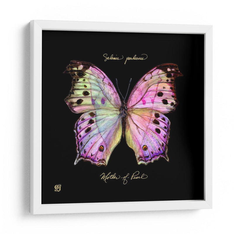 Butterfly Llamativa Iii - Ginny Joyner | Cuadro decorativo de Canvas Lab