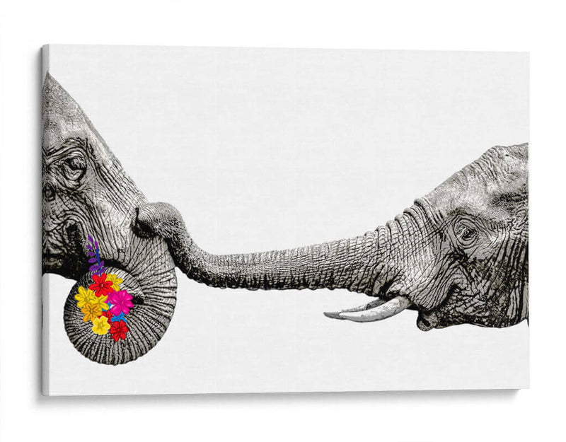 Elephant Flowers White - Hue Art | Cuadro decorativo de Canvas Lab