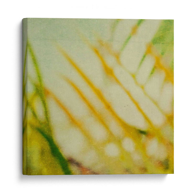 Textura Tropical I - Emily Robinson | Cuadro decorativo de Canvas Lab