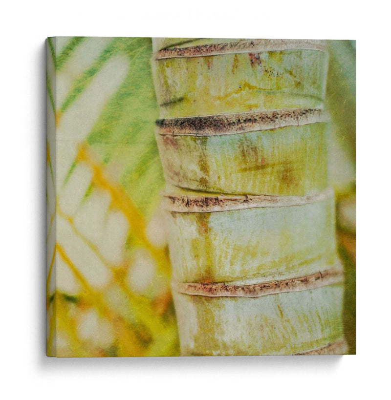 Textura Tropical Ii - Emily Robinson | Cuadro decorativo de Canvas Lab