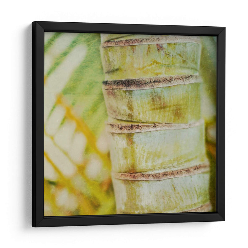 Textura Tropical Ii - Emily Robinson | Cuadro decorativo de Canvas Lab