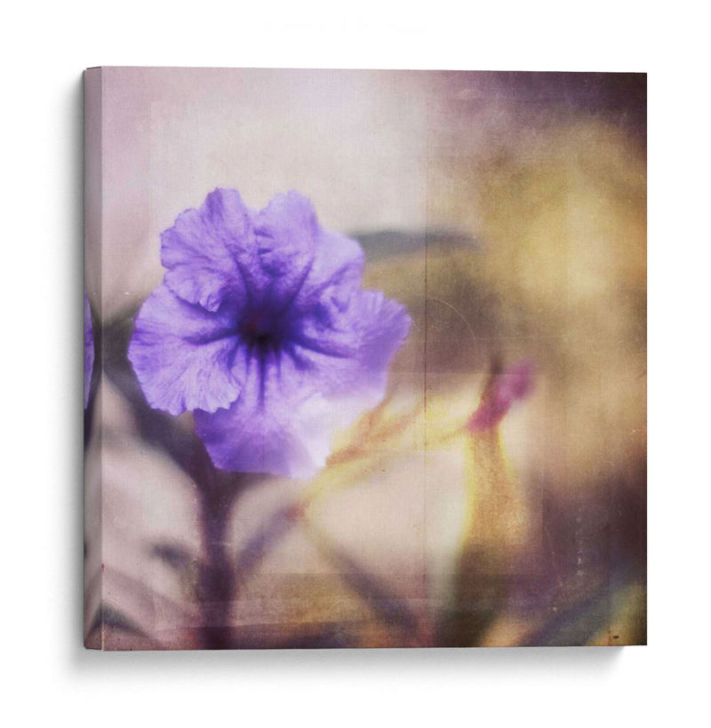 Tranquilidad Púrpura I - Emily Robinson | Cuadro decorativo de Canvas Lab