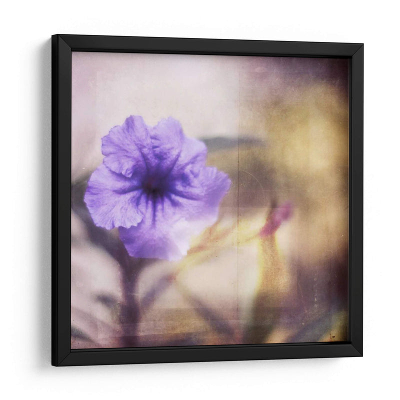 Tranquilidad Púrpura I - Emily Robinson | Cuadro decorativo de Canvas Lab