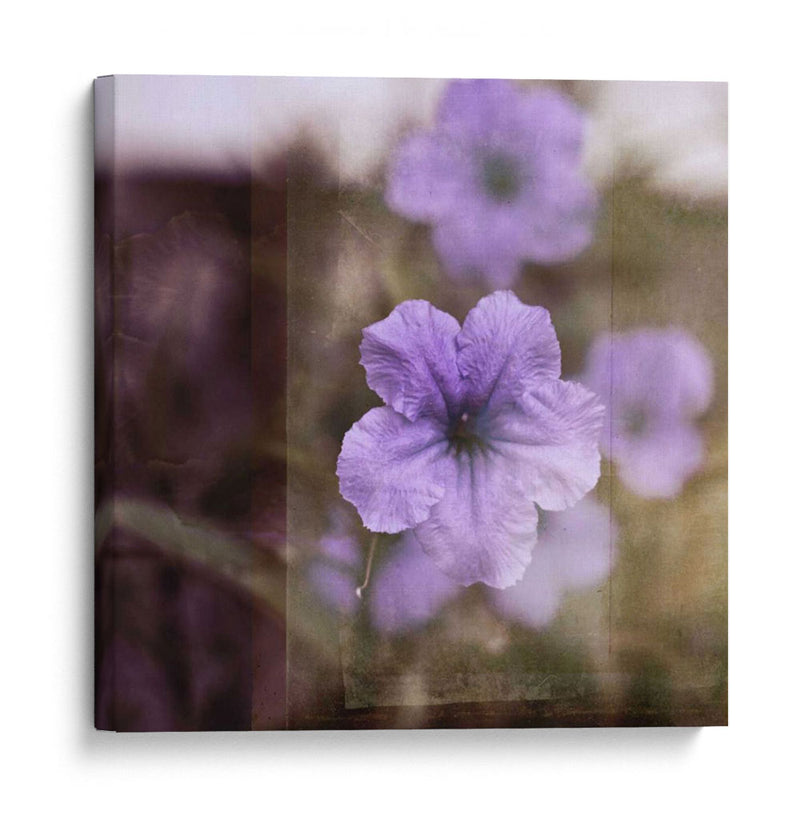 Tranquilidad Púrpura Ii - Emily Robinson | Cuadro decorativo de Canvas Lab