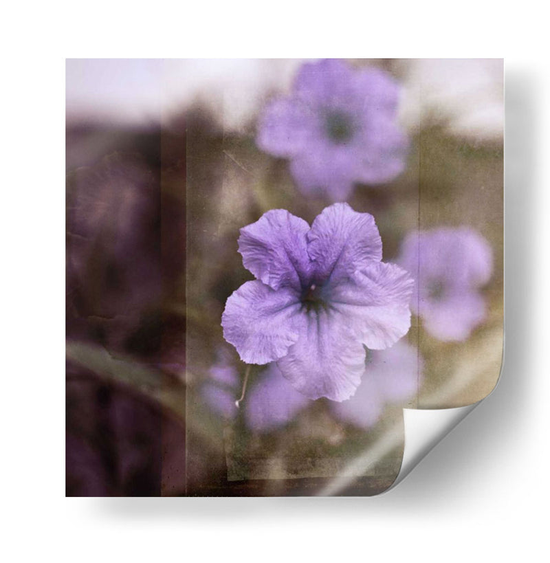 Tranquilidad Púrpura Ii - Emily Robinson | Cuadro decorativo de Canvas Lab