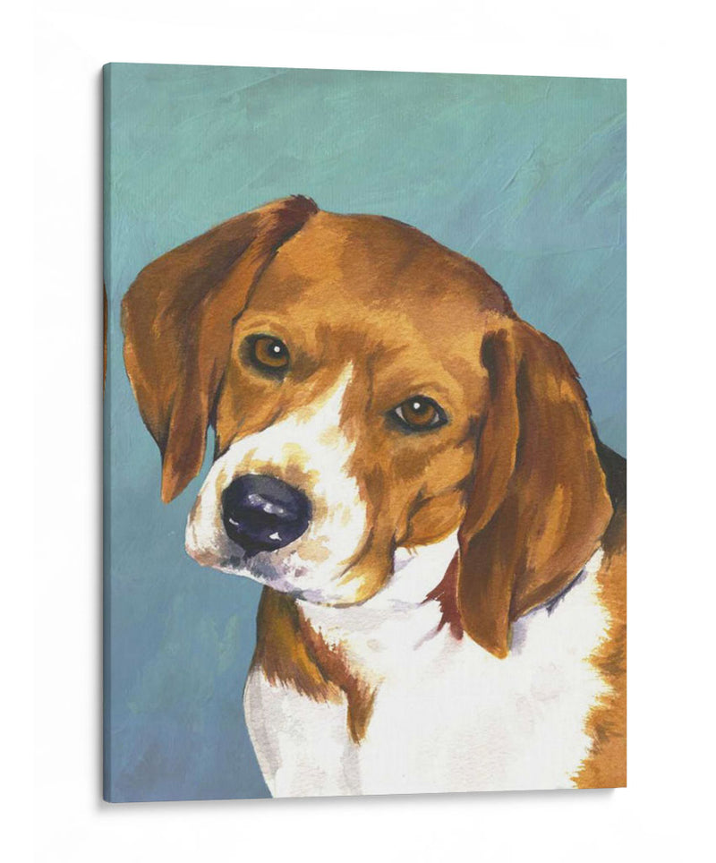 Perro Retrato-Beagle - Jill Sands | Cuadro decorativo de Canvas Lab